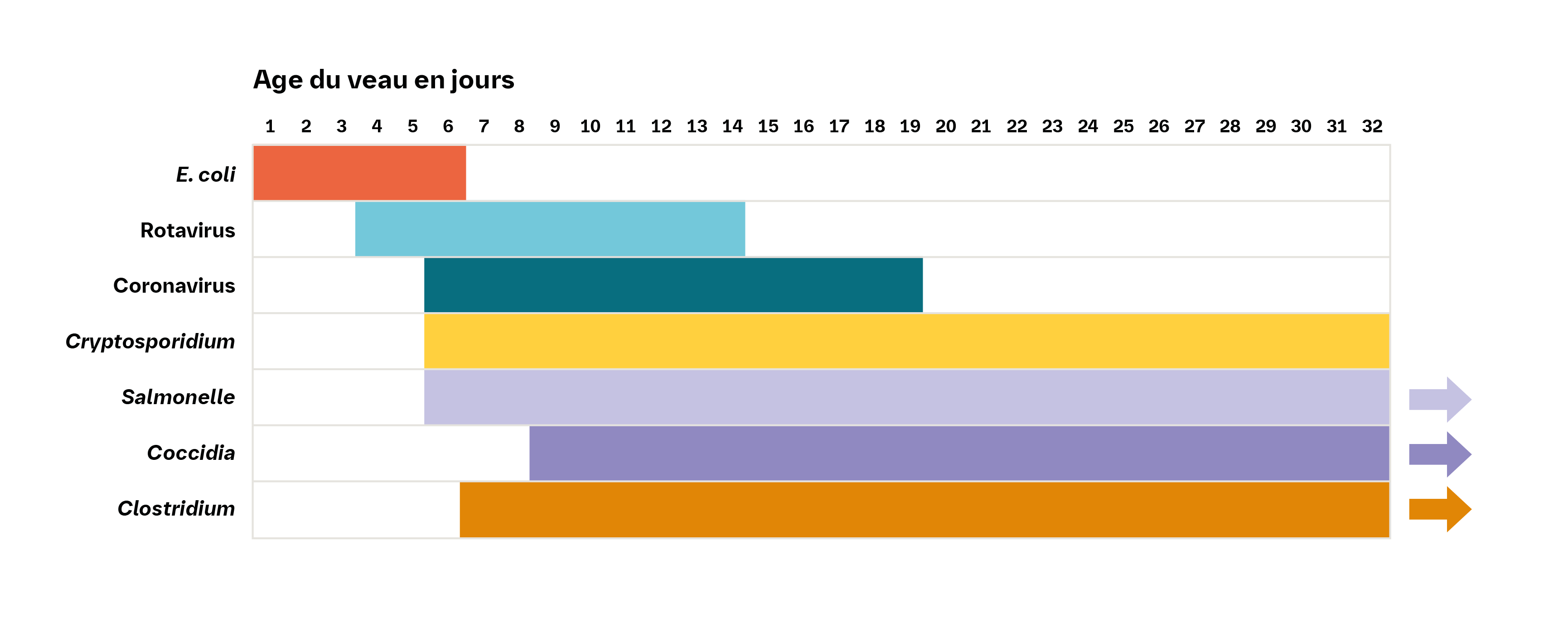 Comment reconnaître les différents types de diarrhée du veau ?