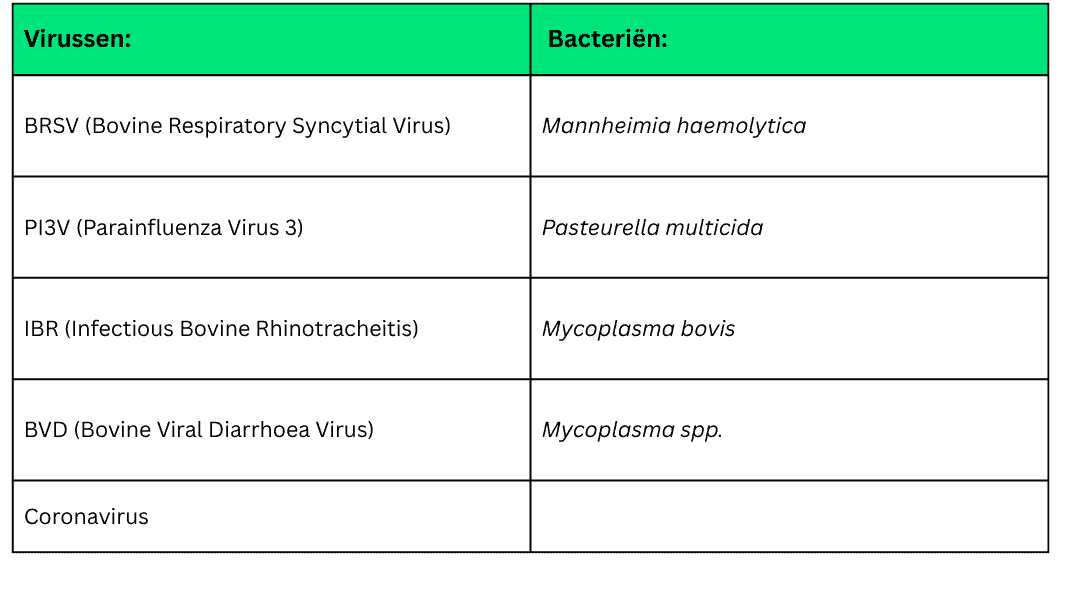 Virussen en bacterien die een rol spelen bij BRD