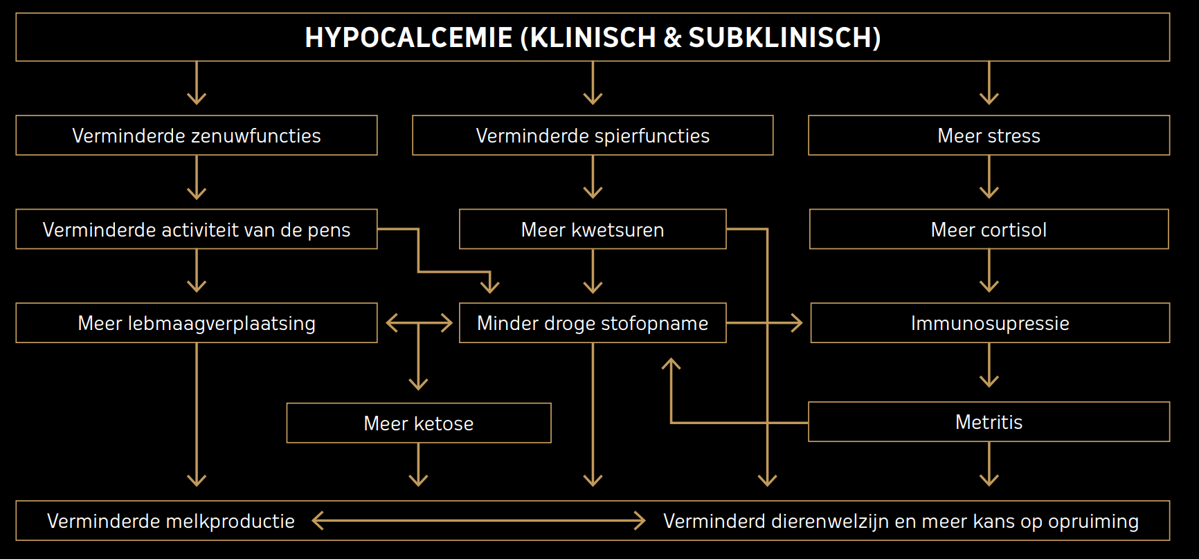 De gevolgen van melkziekte