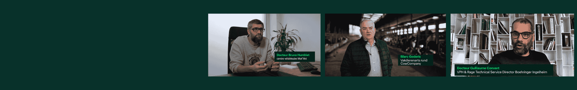 Experten BTV en EHD