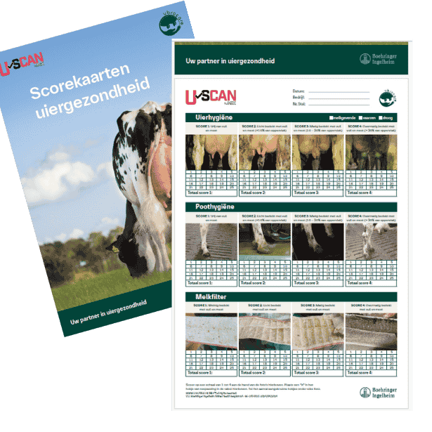 Scorekaarten uiergezondheid
