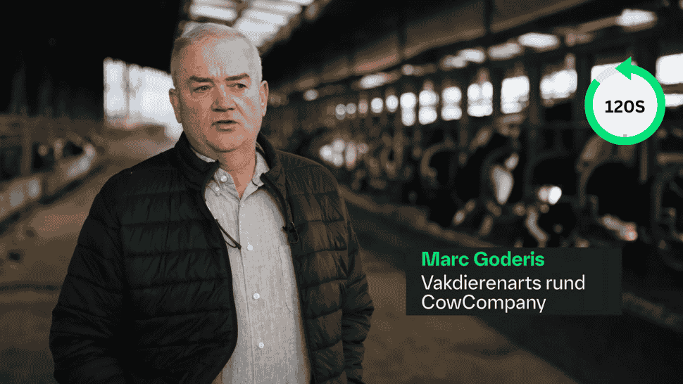 Marc Goderis
