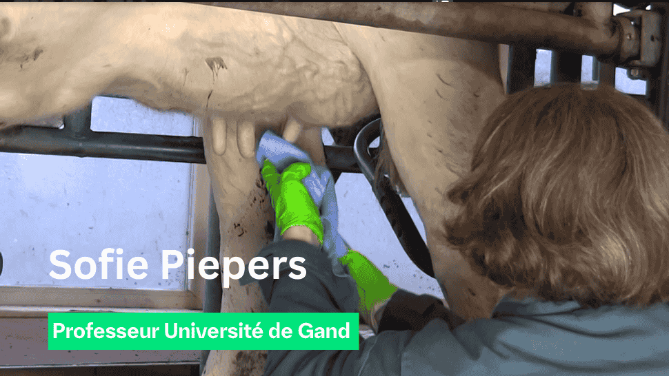 Professor Sofie Piepers