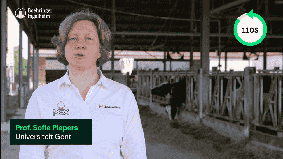 Professor Sofie Piepers