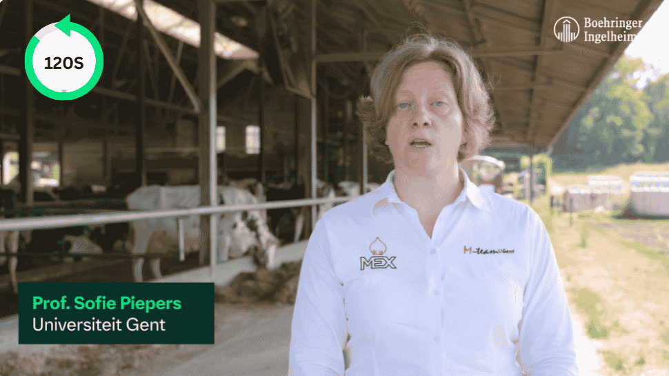 Professor Sofie Piepers UGENT 