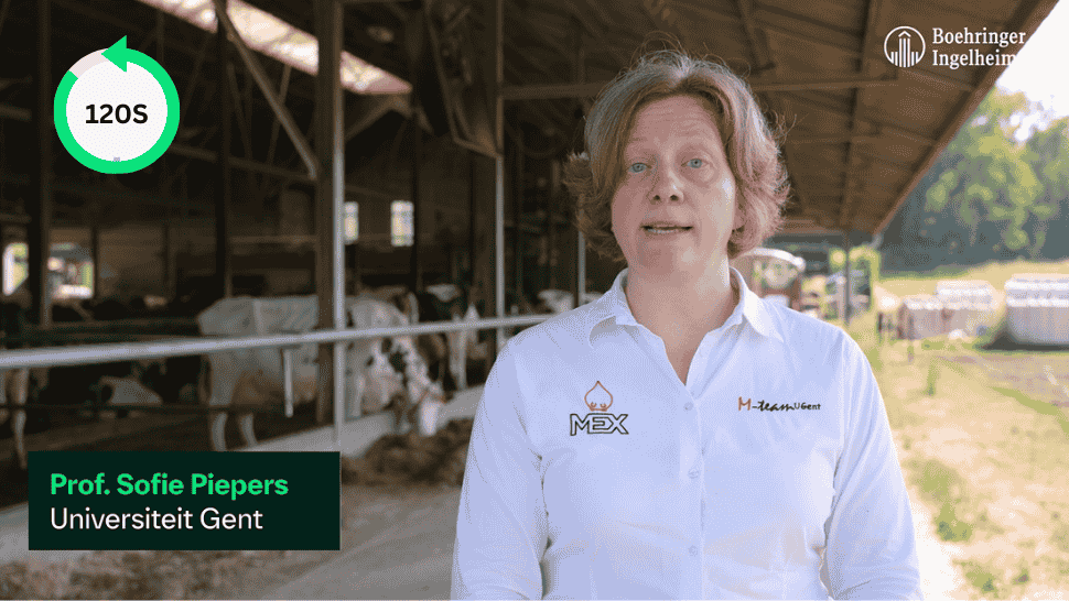 Professor Sofie Piepers